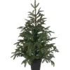 Käthe Wohlfahrt Baum Frasier Fir Grun, 100 Cm