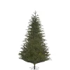 Käthe Wohlfahrt Baum Frasier Fir Grun, 185 Cm