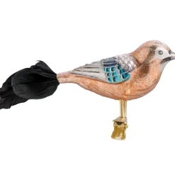 Poesie in Glas Eichelhaher Mit Clip